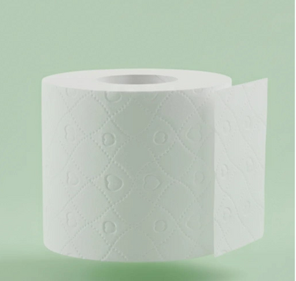 Ayra Toilet Tissue 10 Rolls 2Ply 300 Sheets