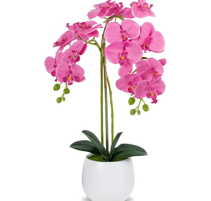 Natural Atificial Flower Plant 53cm