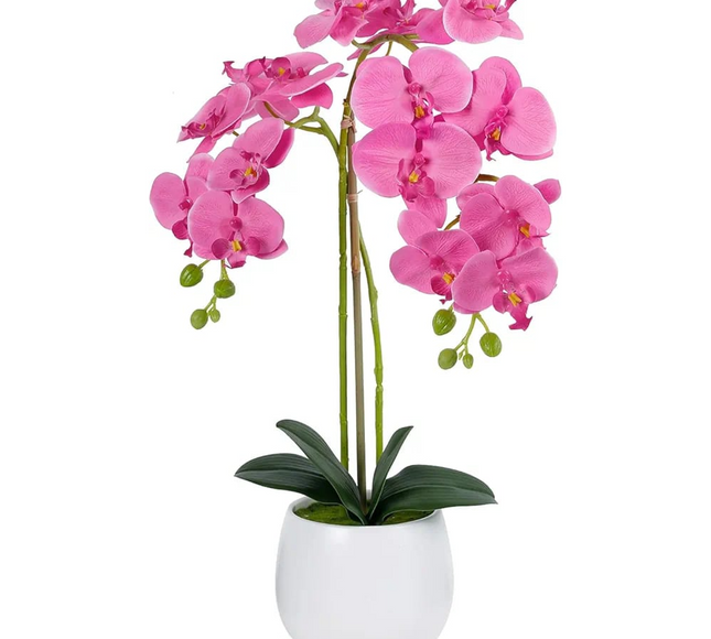 Natural Atificial Flower Plant 53cm