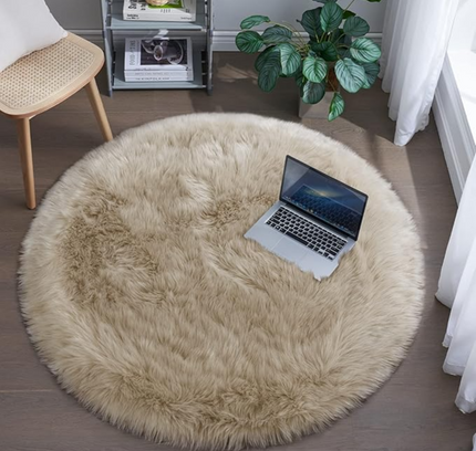 Fluffy Round Rug Floor Carpet