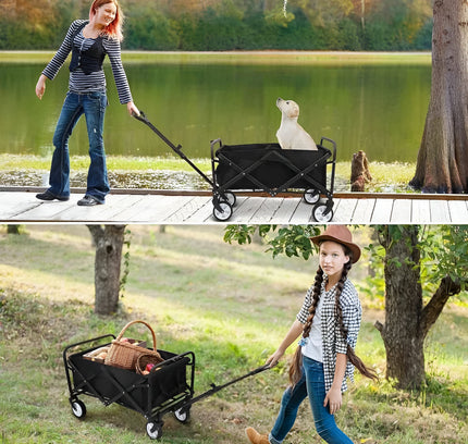 عربة الترولي